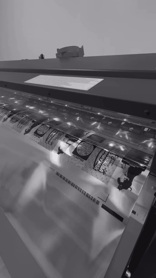 Concept Garage Interior Detailer